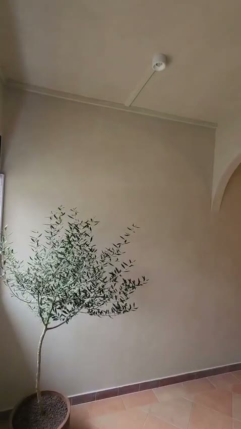 Lime wash going on